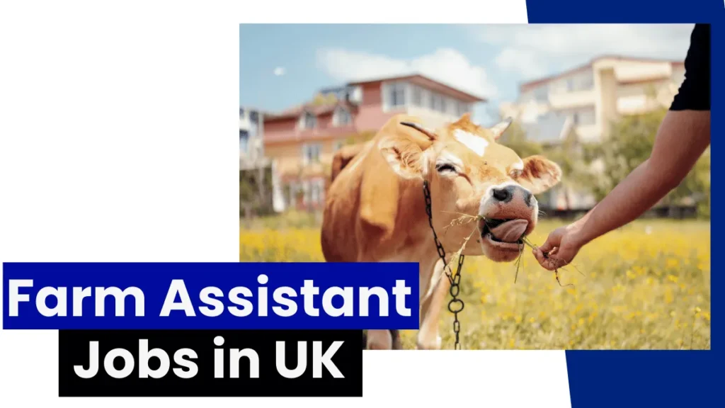 Farm Assistant Jobs in UK with Visa Sponsorship (£14.25 Per Hour)